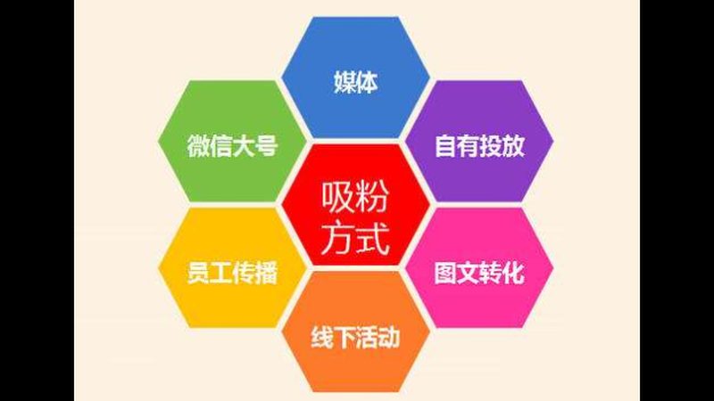 揭秘网站优化技术参数定制开发的五大关键要素